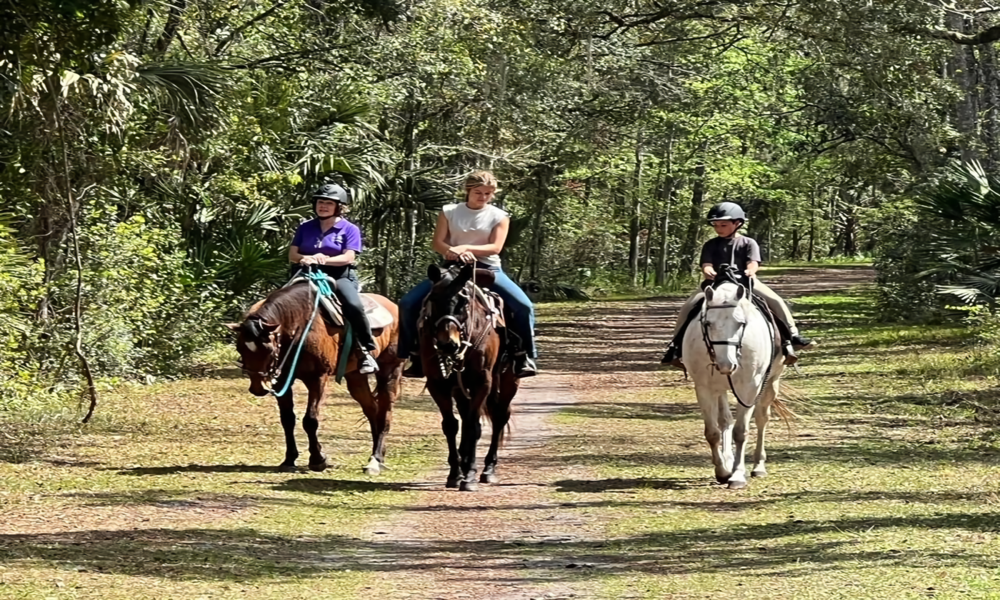 People travel on horseback in the forest.